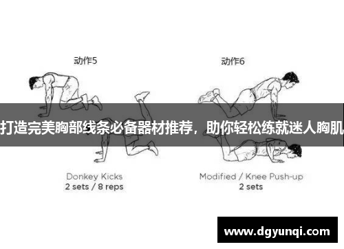 打造完美胸部线条必备器材推荐，助你轻松练就迷人胸肌