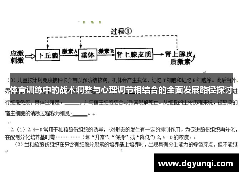 体育训练中的战术调整与心理调节相结合的全面发展路径探讨