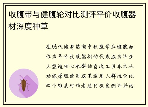 收腹带与健腹轮对比测评平价收腹器材深度种草